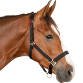 Waldhausen Licol de Sécurité Noir Waldhausen Licol de Sécurité Noir