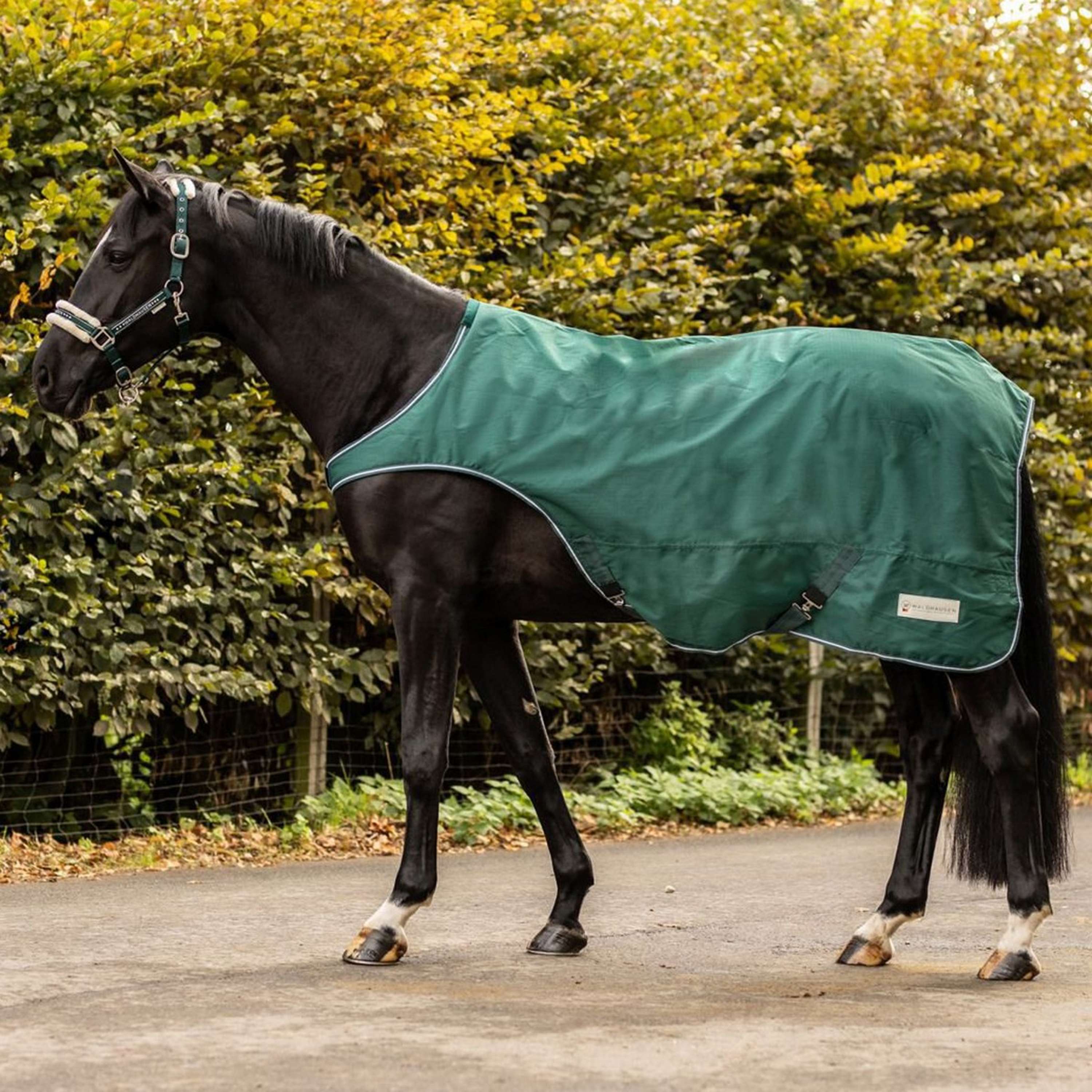 Waldhausen Couverture De Marcheur Cheval Waldhausen