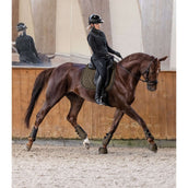 Waldhausen Tapis de Selle Philadelphia Dressage Vert/Marron Waldhausen Tapis de Selle Philadelphia Dressage Vert/Marron