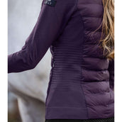ELT Veste Oregon Violet Foncé ELT Veste Oregon Violet Foncé