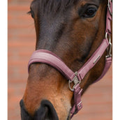 Waldhausen Ensemble Licol Velvet Dusky Pink Waldhausen Ensemble Licol Velvet Dusky Pink