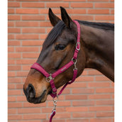 Waldhausen Ensemble Licol Velvet Pomegranate Waldhausen Ensemble Licol Velvet Pomegranate