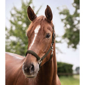 Waldhausen Licol Perlon Satin Vert/Marron Waldhausen Licol Perlon Satin Vert/Marron