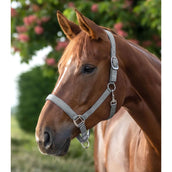 Waldhausen Licol Satin Chrome Grey Waldhausen Licol Satin Chrome Grey