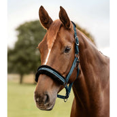 Waldhausen Licol Elegant Petrol Blue Waldhausen Licol Elegant Petrol Blue