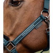 Waldhausen Licol Elegant Petrol Blue Waldhausen Licol Elegant Petrol Blue
