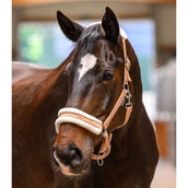 Waldhausen Licol Elegant Pêche Waldhausen Licol Elegant Pêche