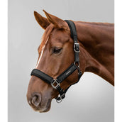 Waldhausen Licol Soft Touch Noir Waldhausen Licol Soft Touch Noir