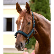 Waldhausen Licol Soft Touch Petrol Blue Waldhausen Licol Soft Touch Petrol Blue