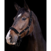 Waldhausen Licol St. Gallen Noir Waldhausen Licol St. Gallen Noir