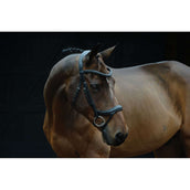 Collegiate Bridon ComFiTec Vogue Anatomique Noir Collegiate Bridon ComFiTec Vogue Anatomique Noir