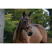 Collegiate Bridon ComFiTec Vogue Anatomique Noir Collegiate Bridon ComFiTec Vogue Anatomique Noir