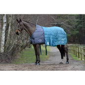 WeatherBeeta Couverture Green-Tec Medium/Lite Gris WeatherBeeta Couverture Green-Tec Medium/Lite Gris