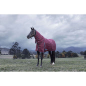 WeatherBeeta ComFiTec Essential Turnout Detach-A-Neck 220g Bourgogne/Marine WeatherBeeta ComFiTec Essential Turnout Detach-A-Neck 220g Bourgogne/Marine