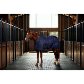 WeatherBeeta Couverture d'Écurie ComFiTec PP Channel Quilt Detach-A-Neck 220g Navy/Charcoal WeatherBeeta Couverture d'Écurie ComFiTec PP Channel Quilt Detach-A-Neck 220g Navy/Charcoal
