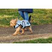 WeatherBeeta Couverture pour Chien ComFiTec Reflective Showerproof Argent WeatherBeeta Couverture pour Chien ComFiTec Reflective Showerproof Argent