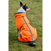 WeatherBeeta Couverture pour Chien ComFiTec Reflective 300D Deluxe Showerproof Orange WeatherBeeta Couverture pour Chien ComFiTec Reflective 300D Deluxe Showerproof Orange