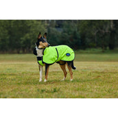 WeatherBeeta Couverture pour Chien ComFiTec Reflective 300D Deluxe Showerproof Jaune WeatherBeeta Couverture pour Chien ComFiTec Reflective 300D Deluxe Showerproof Jaune