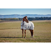 WeatherBeeta Couverture Anti-Mouches ComFiTec Airflow Detach-A-Neck Grey/Navy/Burgundy WeatherBeeta Couverture Anti-Mouches ComFiTec Airflow Detach-A-Neck Grey/Navy/Burgundy