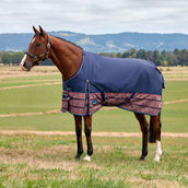 WeatherBeeta ComFiTec Legend Turnout 220g AZ-Tech WeatherBeeta ComFiTec Legend Turnout 220g AZ-Tech