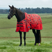 WeatherBeeta ComFiTec Legend Turnout 220g Rodeo Print WeatherBeeta ComFiTec Legend Turnout 220g Rodeo Print