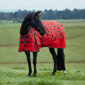 WeatherBeeta ComFiTec Legend Turnout 220g Rodeo Print WeatherBeeta ComFiTec Legend Turnout 220g Rodeo Print