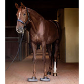 Waldhausen Health + Care Coussins d'Équilibre Gris Waldhausen Health + Care Coussins d'Équilibre Gris