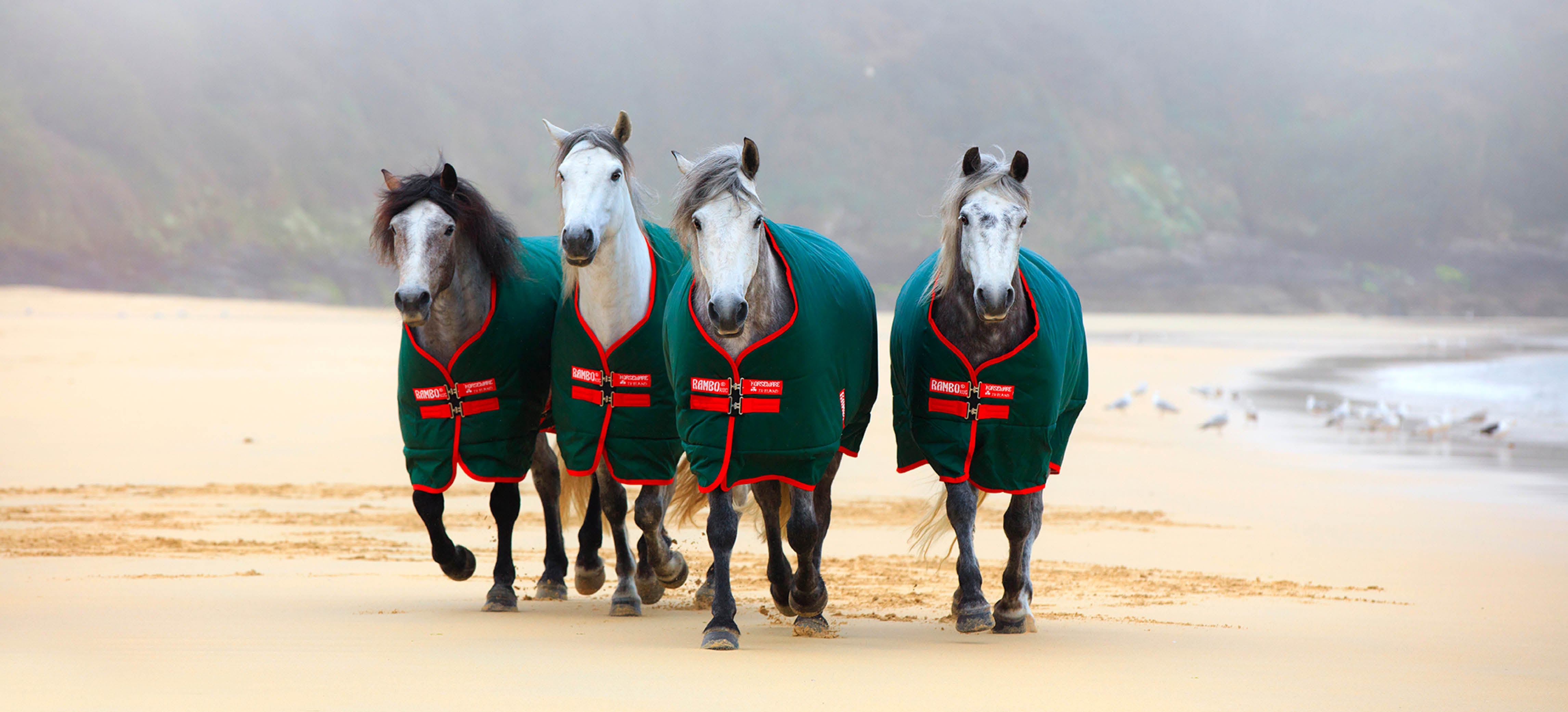 Saviez-vous que... Vous pouvez trouver tout ce qui concerne les couvertures de chevaux chez Agradi ?