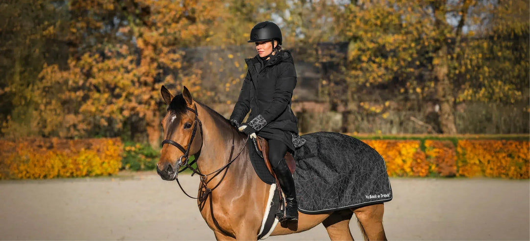 Back on Track Outtrakk : traverser l'hiver ensemble