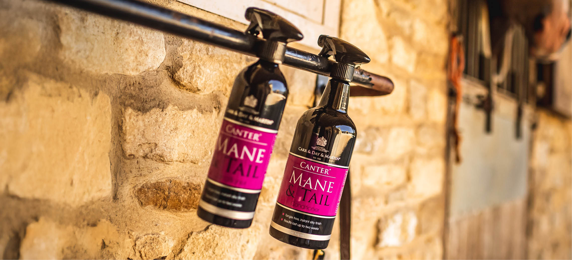 Le duo de rêve parfait : Carr & Day & Martin Mane & Tail & Dream Coat