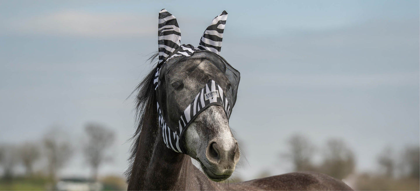 Masque anti-mouches pour chevaux : comment choisir la bonne protection