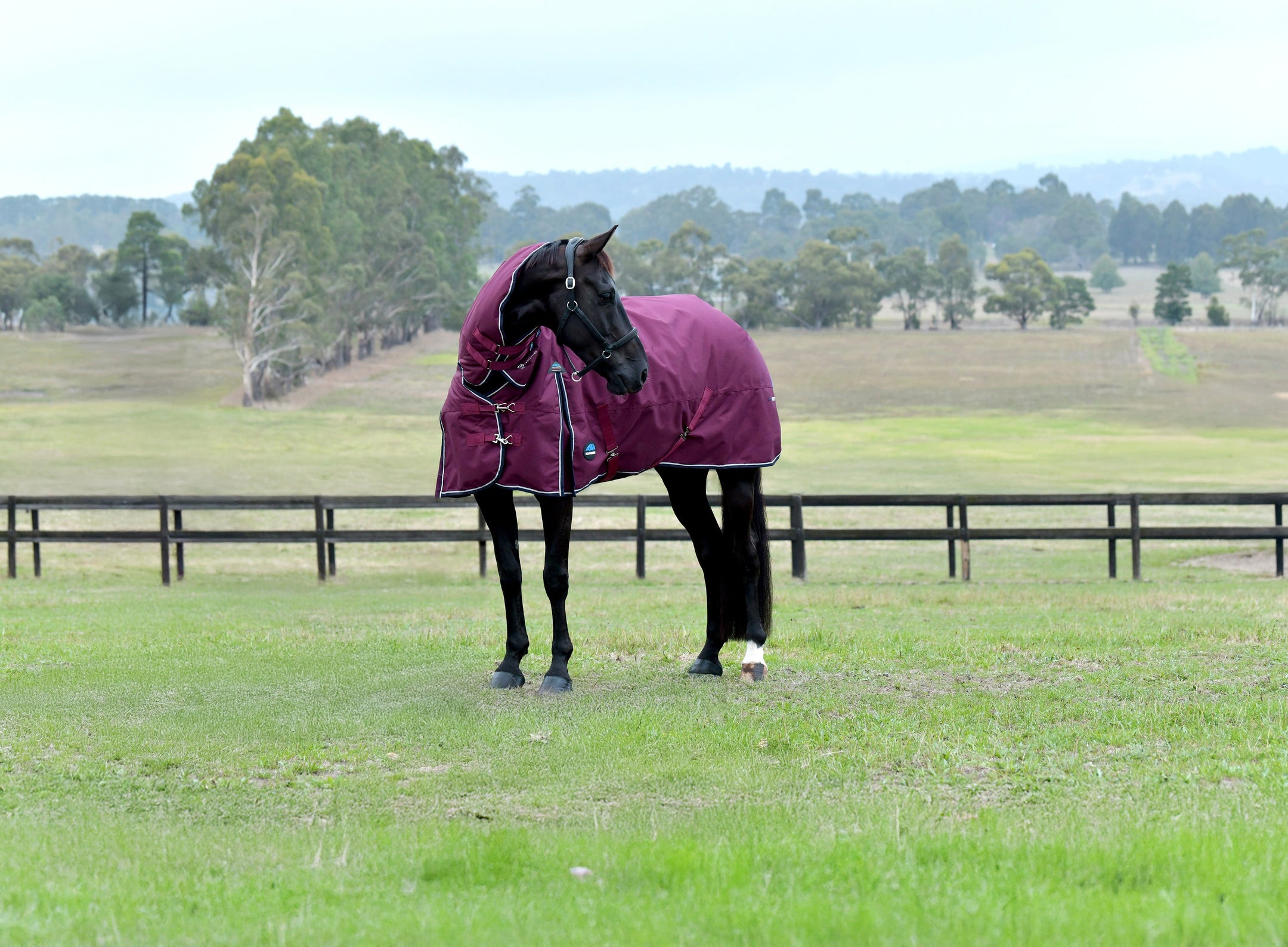 WeatherBeeta Hiver 2025 : Une protection innovante pour toutes les saisons