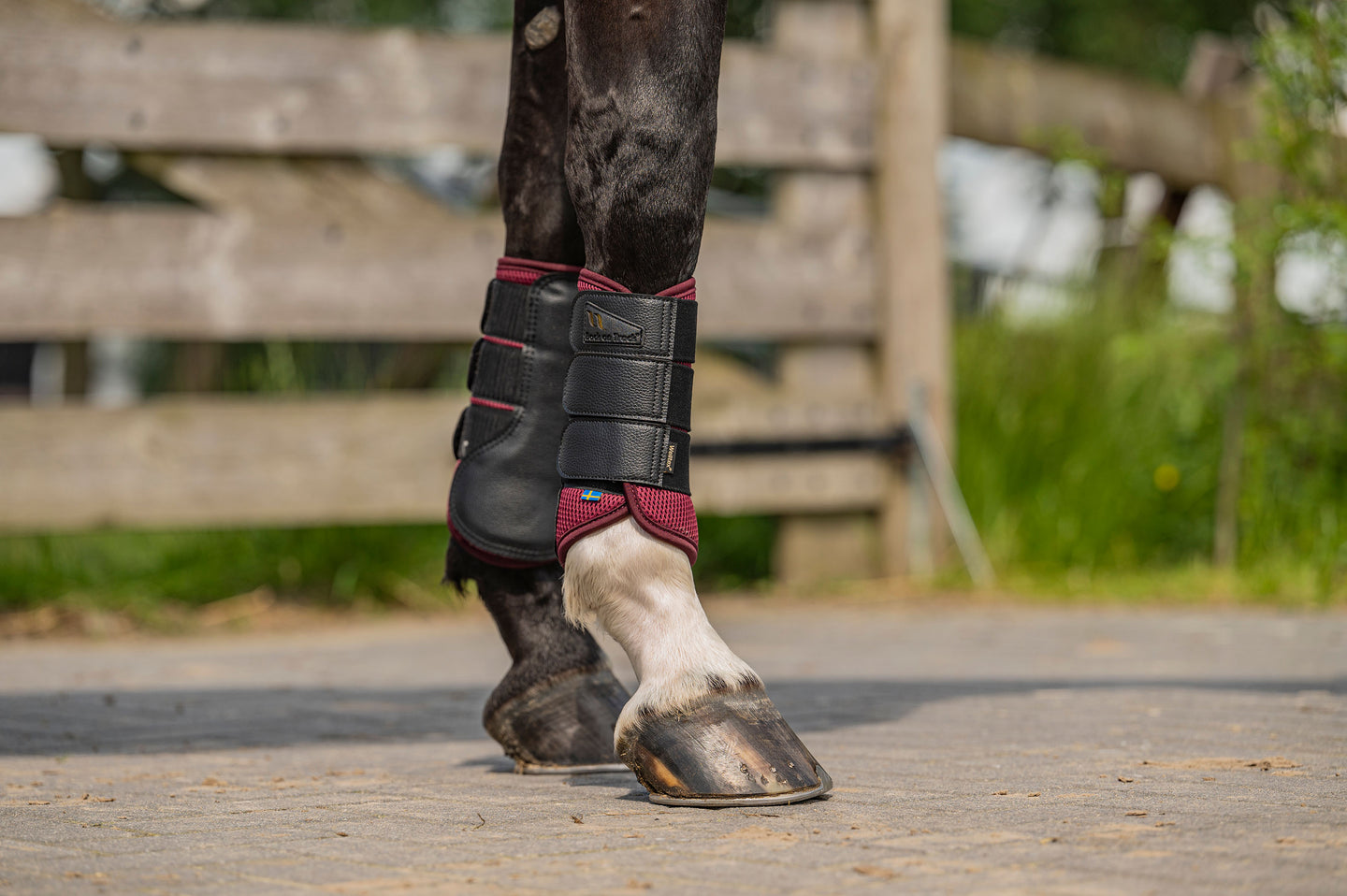 Pourquoi choisir les protège-tendons Back on Track?