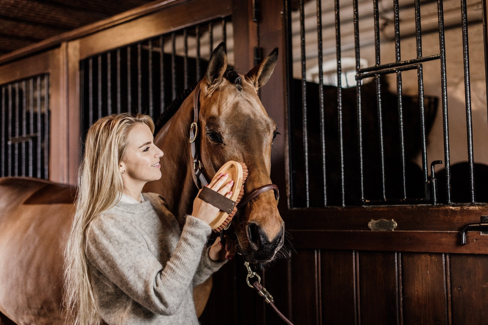 Grooming Deluxe : fonctionnel et élégant