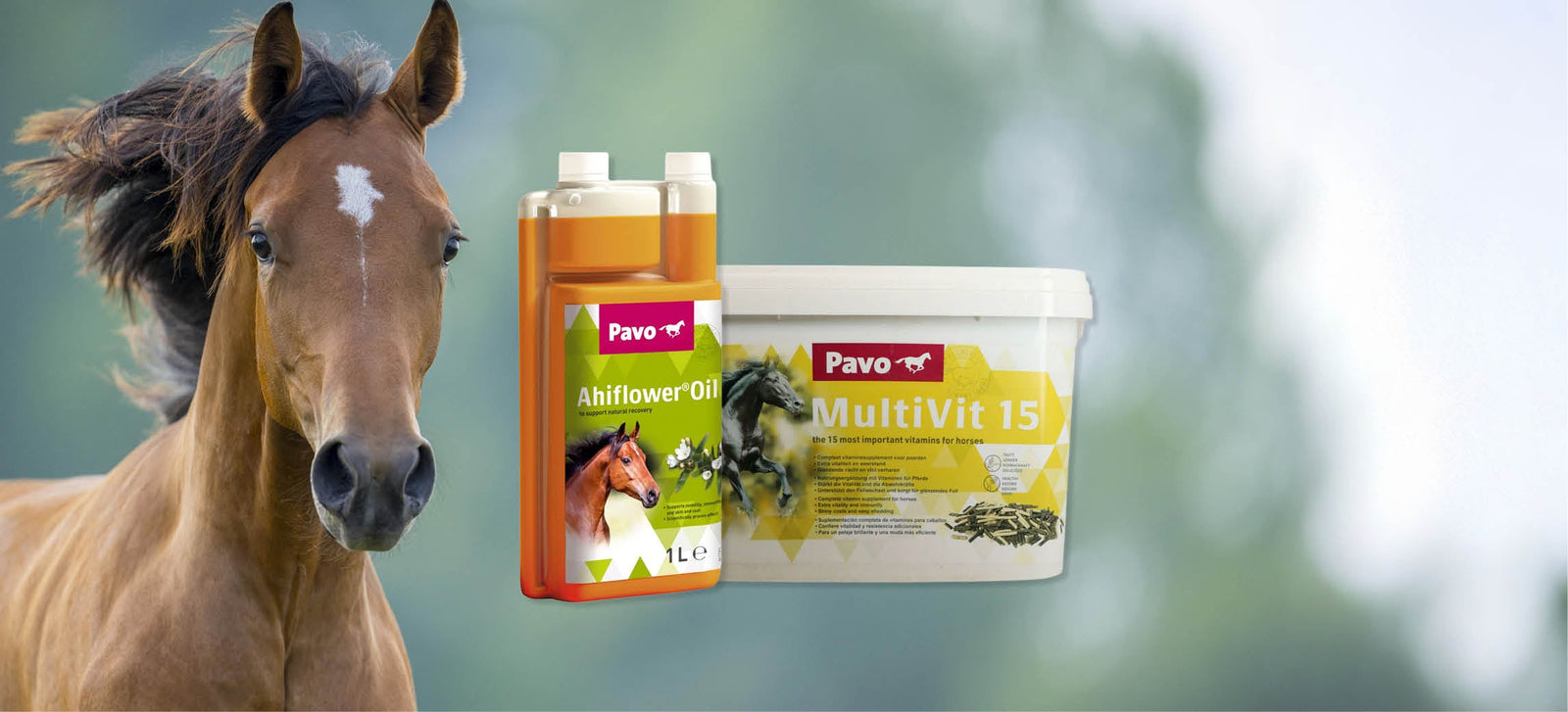 Soutiens ton cheval pendant la mue