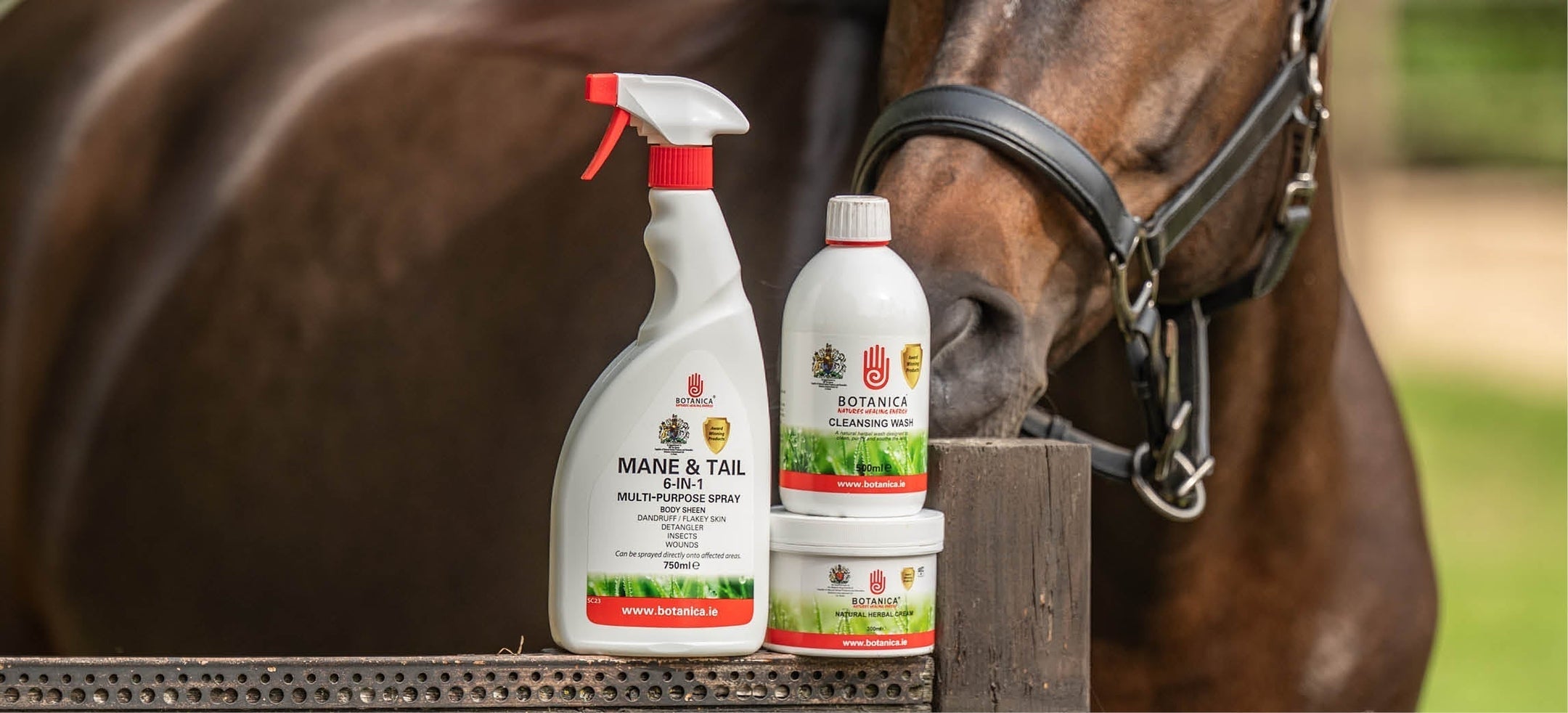 Aide ton cheval en cas de démangeaisons !