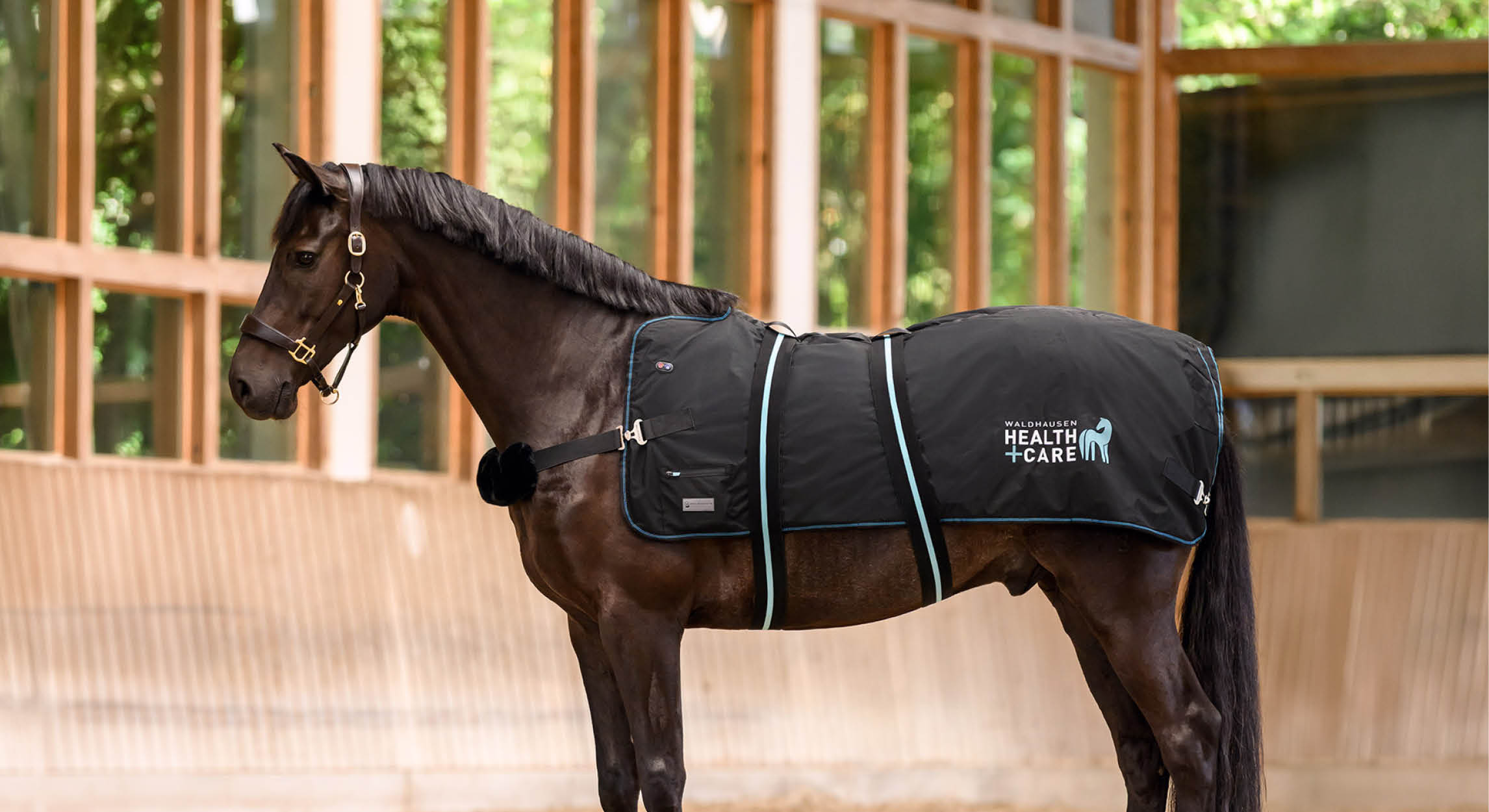 Chaleur et massage pour votre cheval : Waldhausen Health + Care