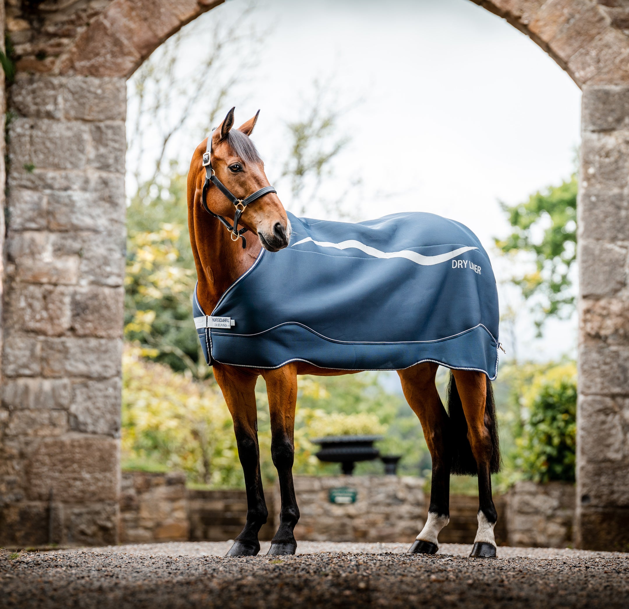 Tous les tenants et aboutissants de la nouvelle doublure sèche Horseware !