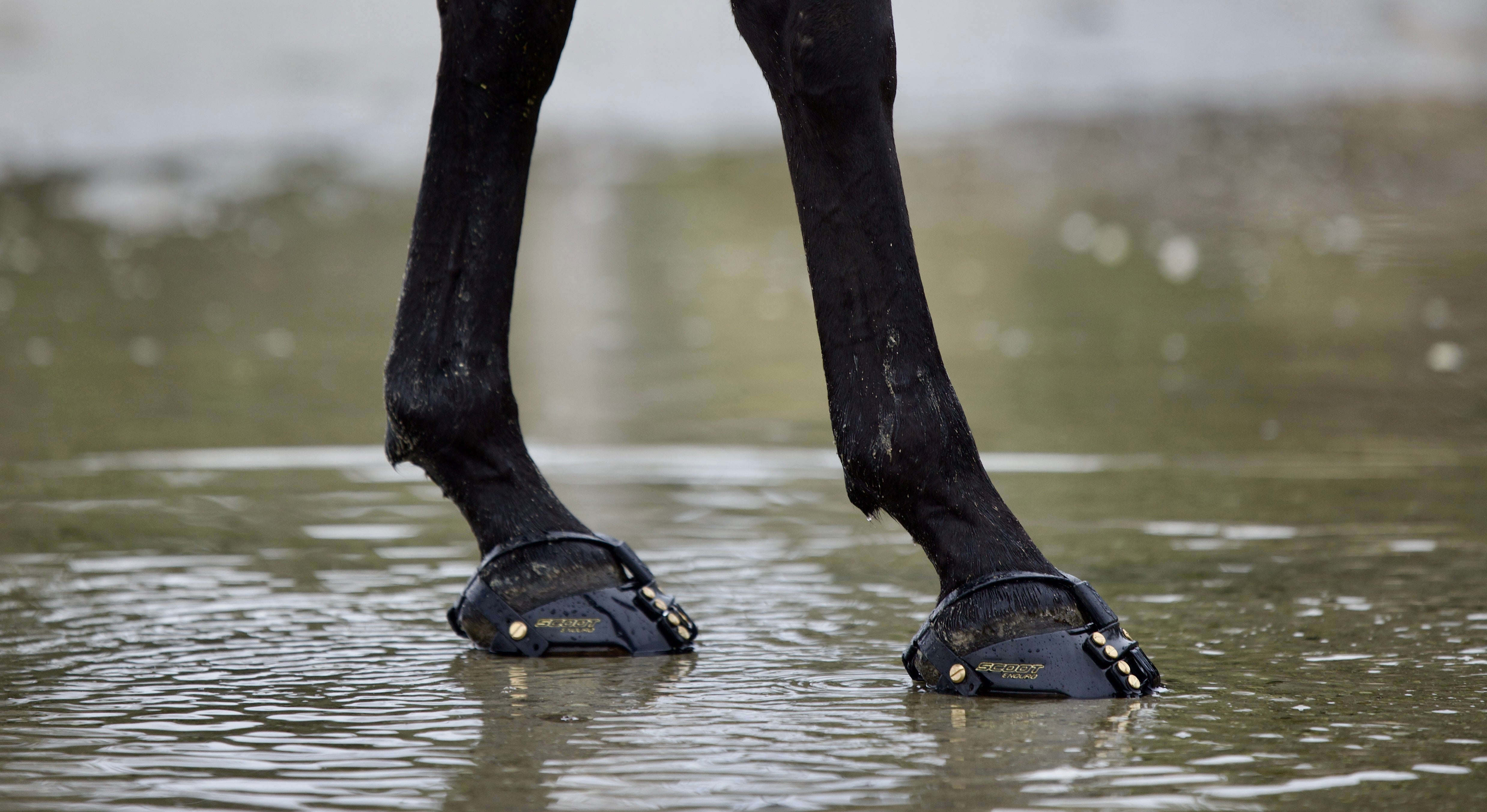 Sans fers sur la piste avec Scoot Boots