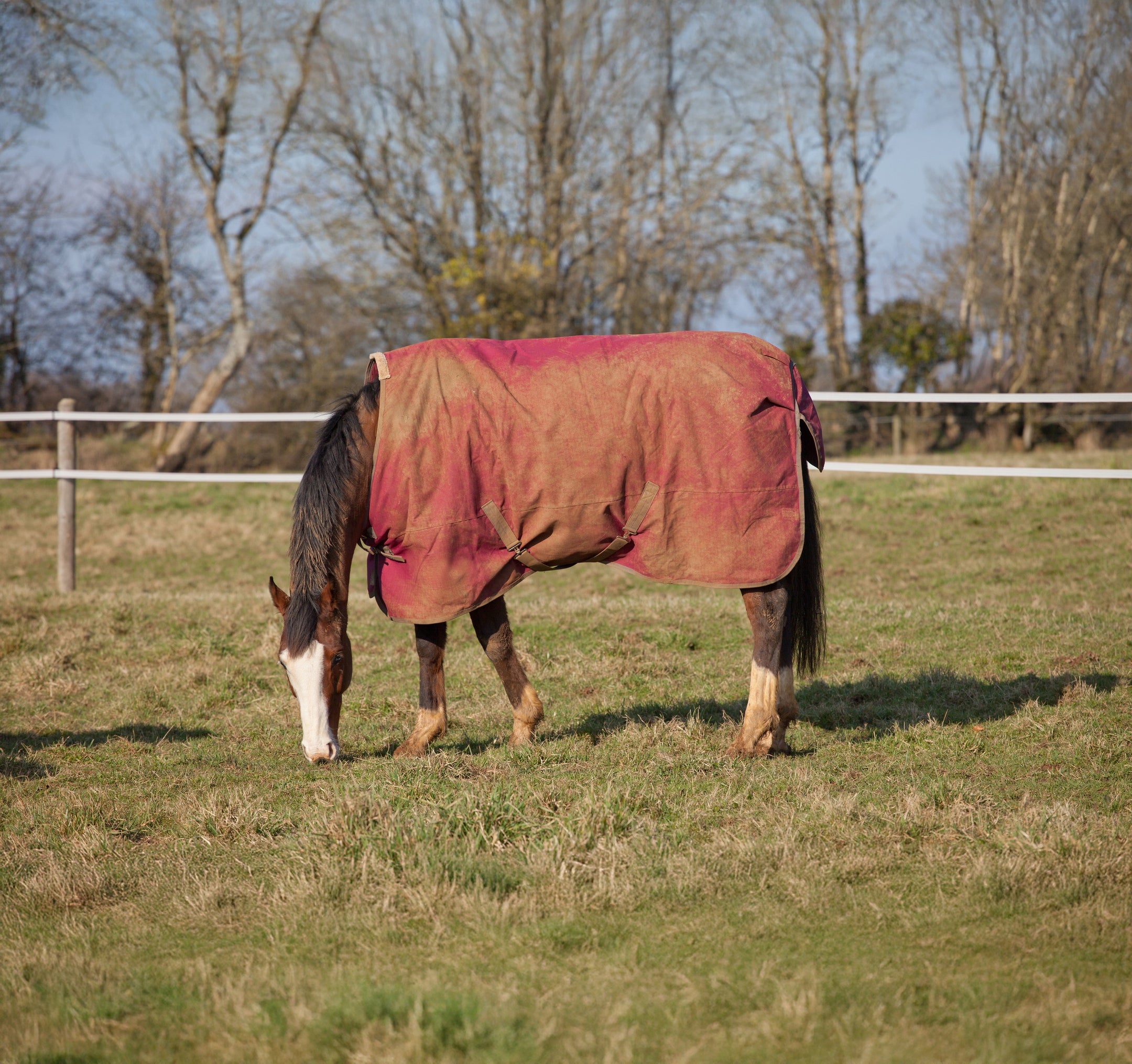 Comment laver une couverture pour cheval ?