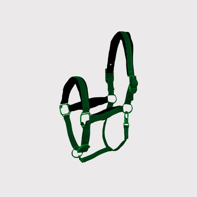 Licols et Longes Licols et Longes