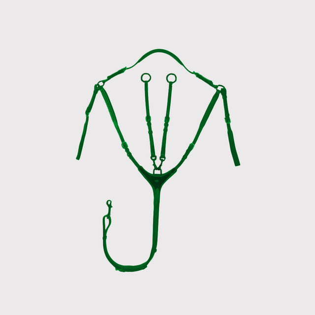 Rênes et Enrênements Rênes et Enrênements