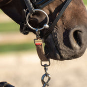 Imperial Riding Alliance de Mors pour la Longe IRH Cappuccino