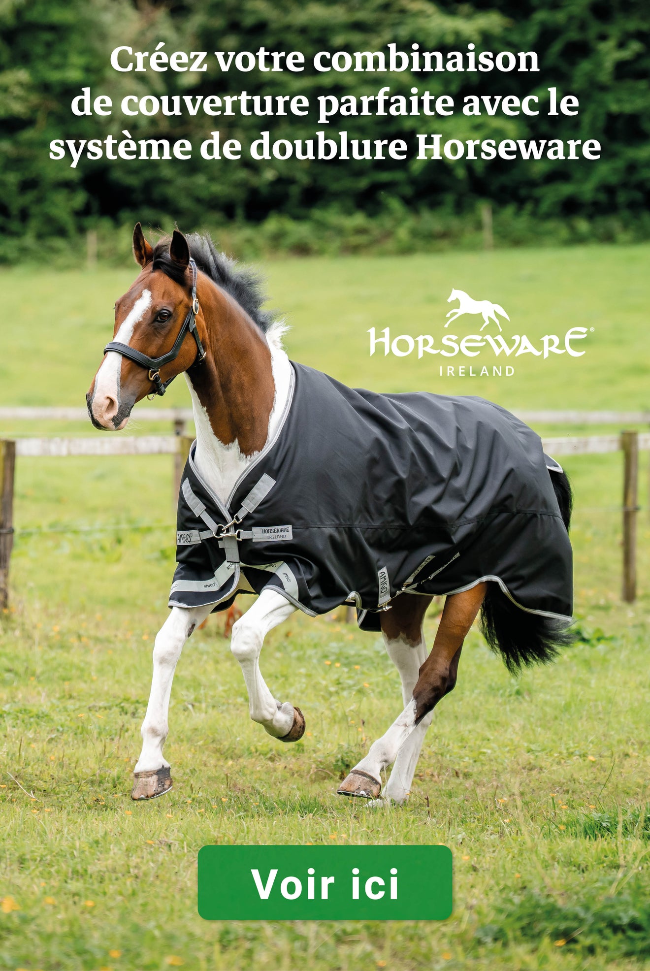 Amigo Chemise Turnout 1200D