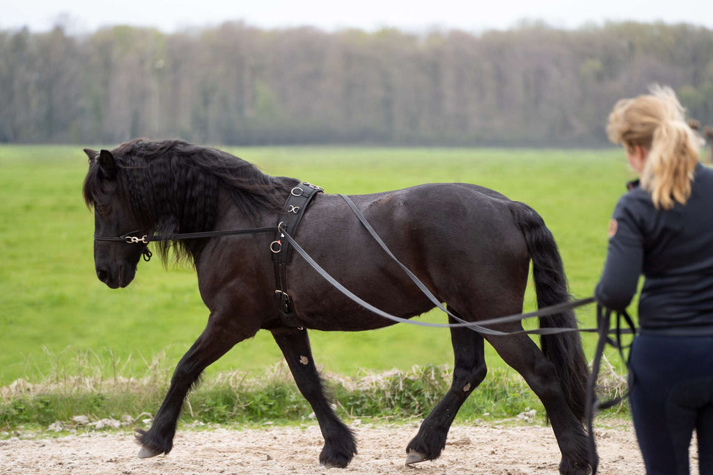 Imperial Riding Longues Lignes IRHFree Ride Noir