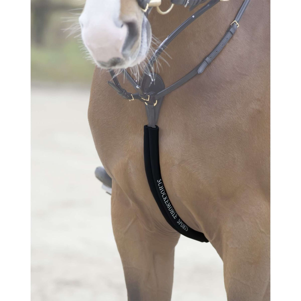 Schockemöhle Body Guard pour Collier de Chasse Noir