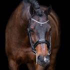Imperial Riding Ensemble Bride IRHOlympia Noir/Argent