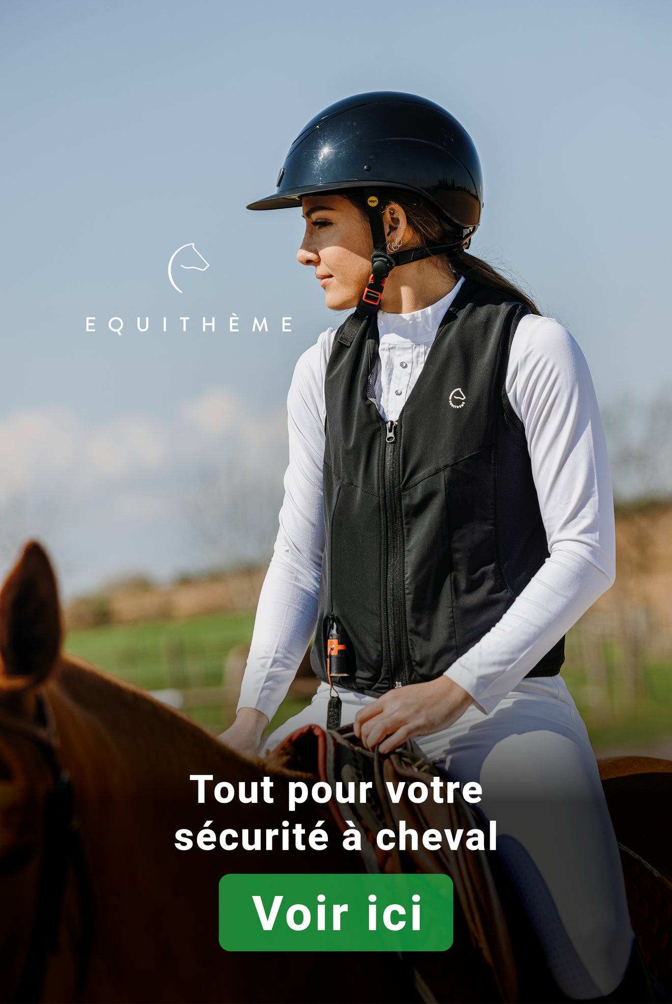 Equitheme veiligheid
