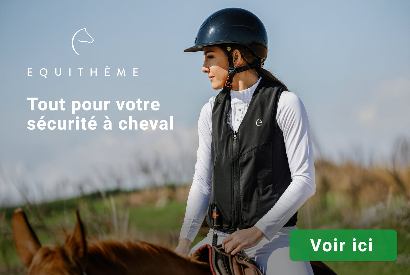 Equitheme veiligheid Equitheme veiligheid