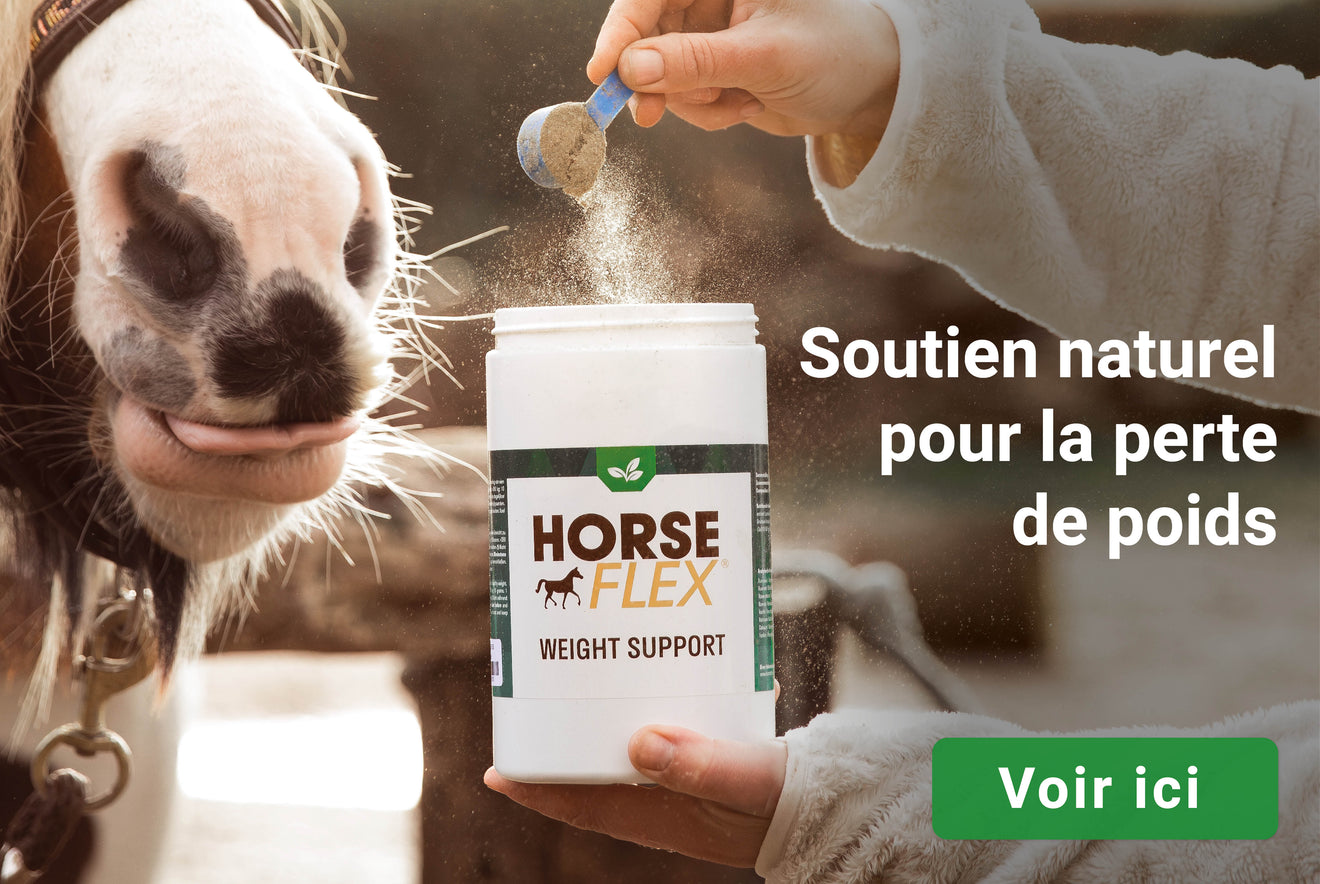 WeightSupport HorseFlex